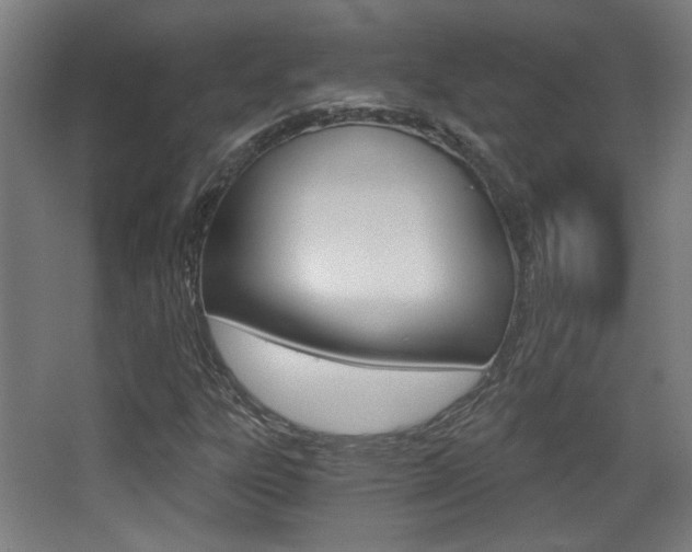 X0000068301303200604211000