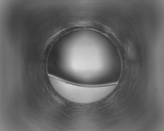 X0000068301304200604211000