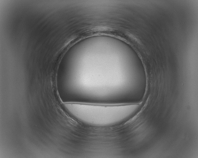 X0000068301305200604211000