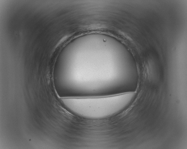 X0000068301306200604211000