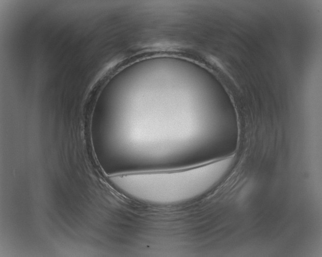 X0000068301307200604211000