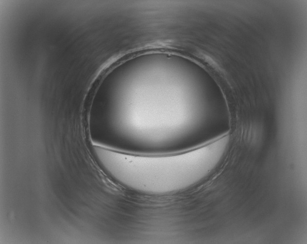 X0000068301308200604211000