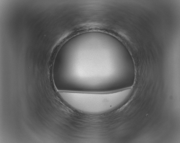 X0000068301309200604211000