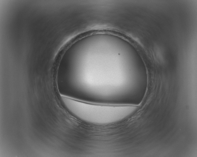 X0000068301311200604211000