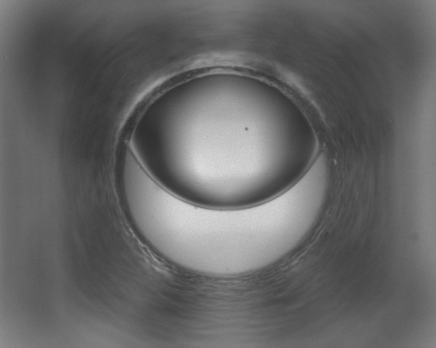 X0000068301312200604211000