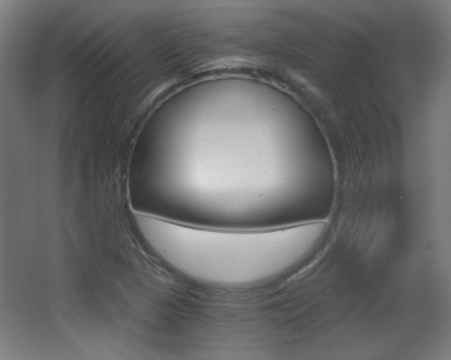 X0000068301313200604211000