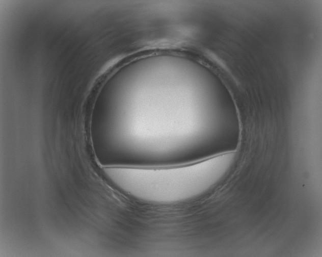 X0000068301315200604211000