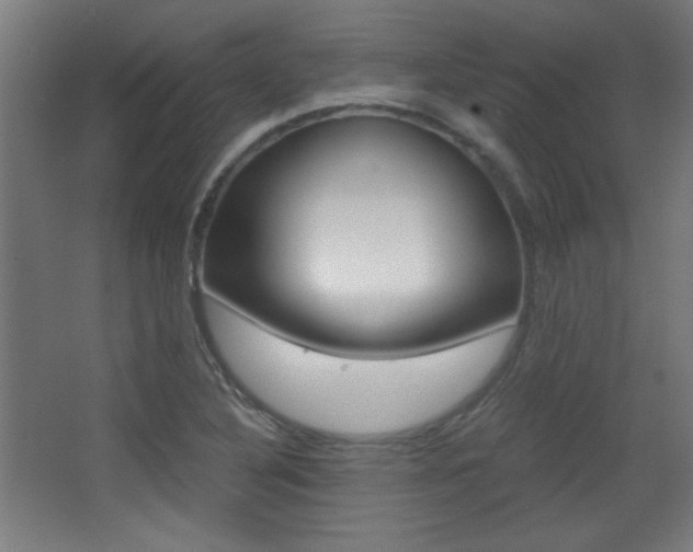 X0000068301316200604211000