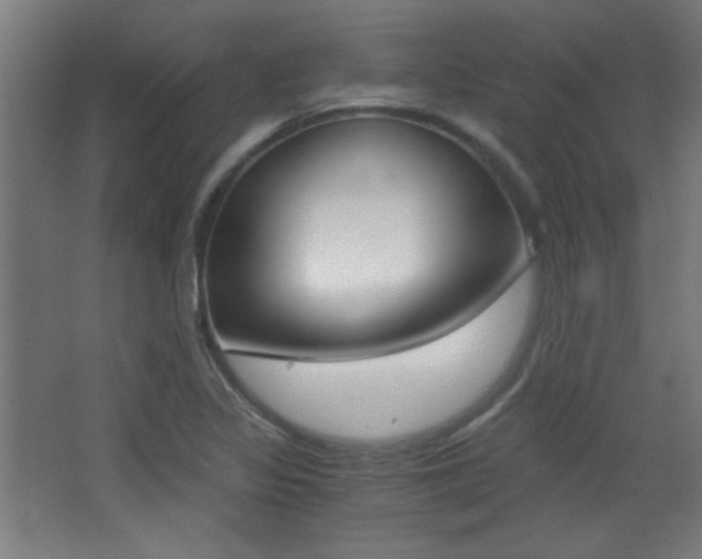 X0000068301317200604211000