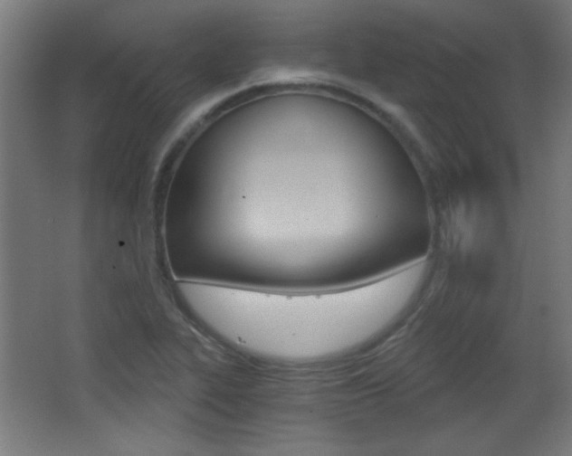 X0000068301319200604211000
