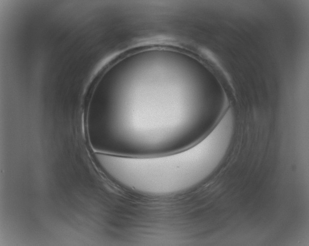 X0000068301320200604211000