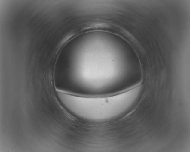 X0000068301321200604211000