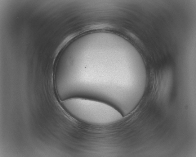 X0000068301322200604211000