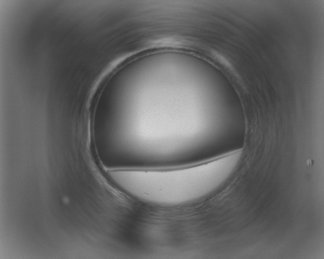 X0000068301323200604211000