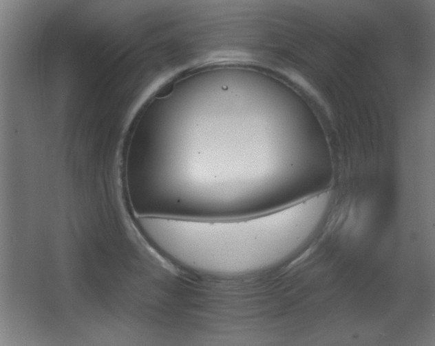 X0000068301325200604211001