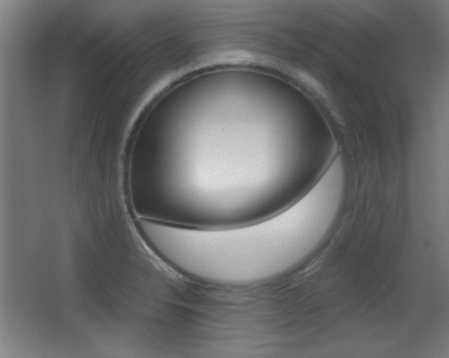 X0000068301326200604211001