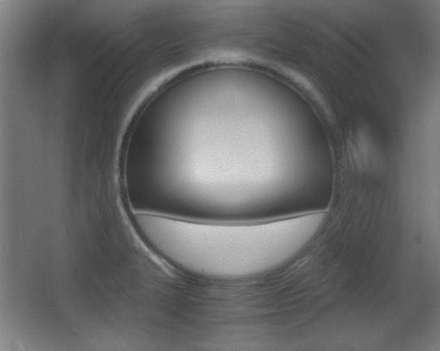 X0000068301327200604211001