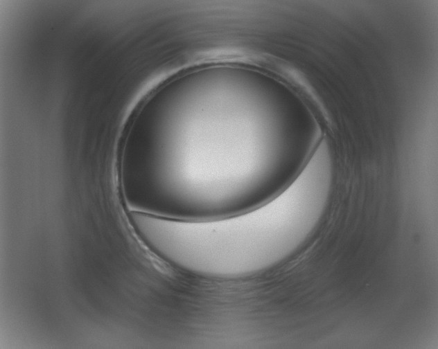 X0000068301328200604211001
