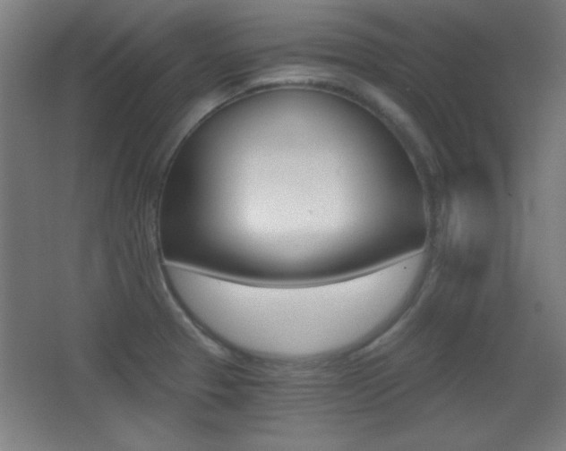X0000068301329200604211001