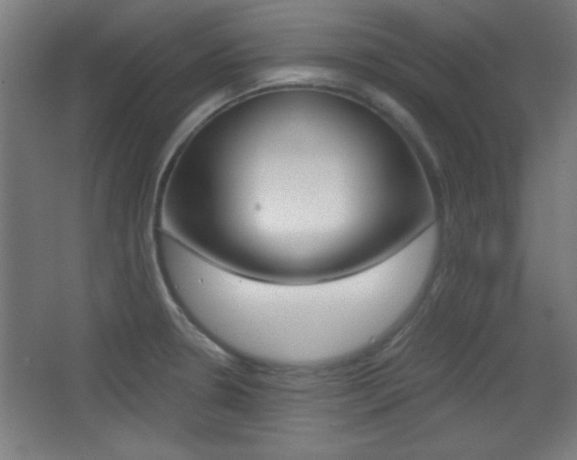 X0000068301330200604211001