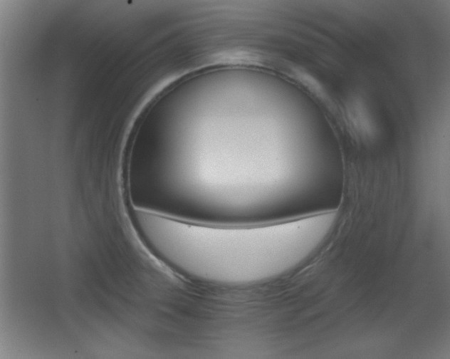 X0000068301331200604211001