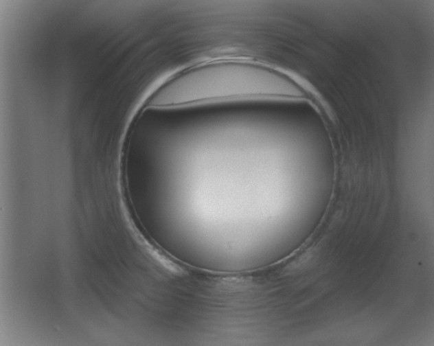 X0000068301333200604211001