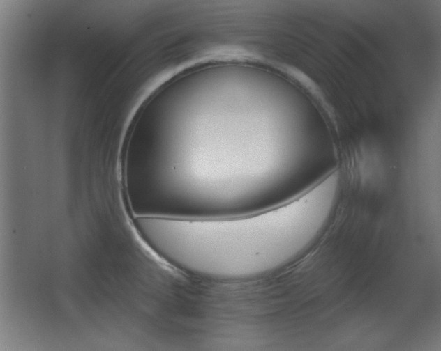 X0000068301335200604211001