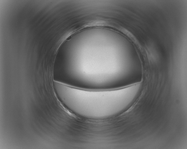 X0000068301337200604211001