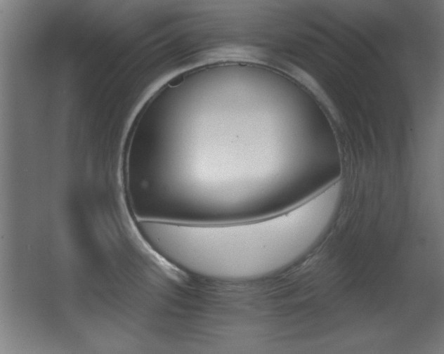 X0000068301339200604211001