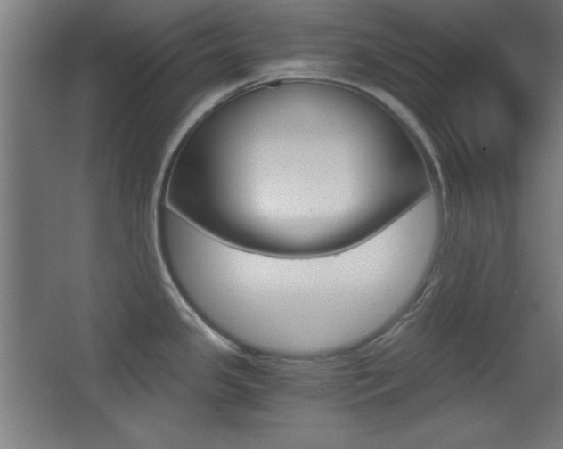 X0000068301341200604211001