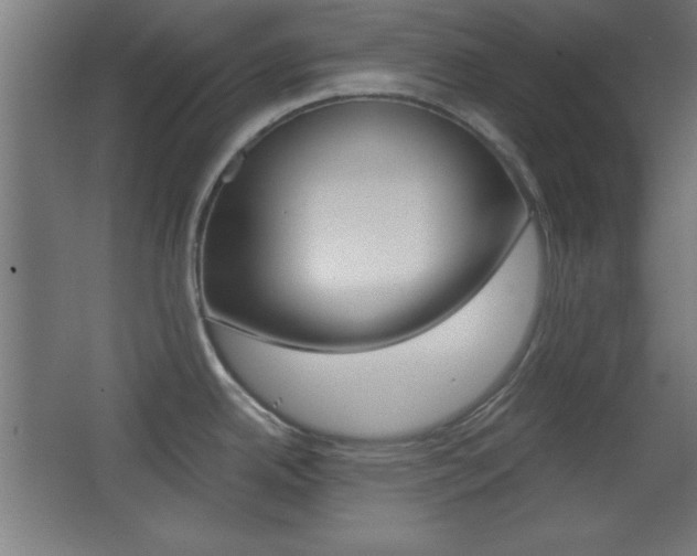 X0000068301342200604211001