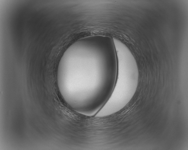 X0000068301345200604211000