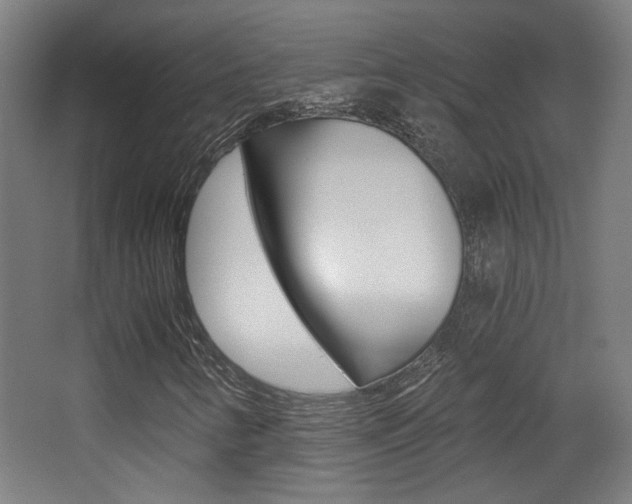 X0000068301346200604211000