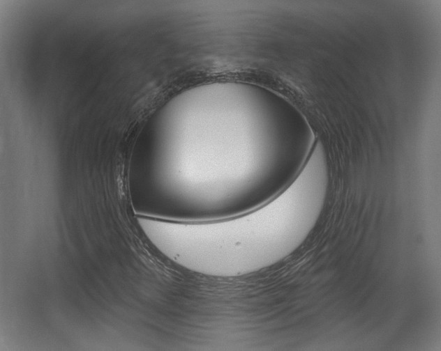 X0000068301348200604211000