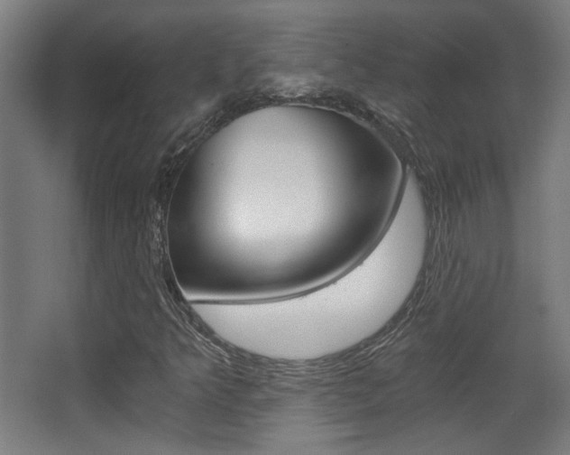 X0000068301349200604211000