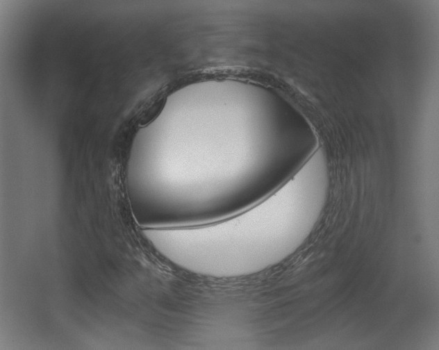 X0000068301351200604211000