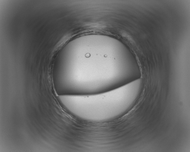 X0000068301354200604211000