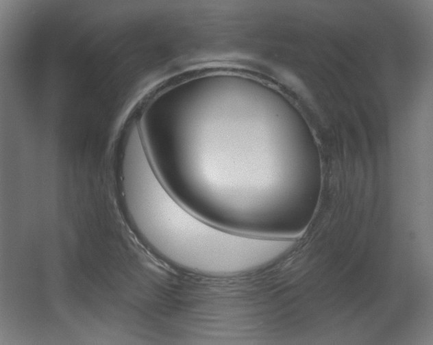 X0000068301360200604211000