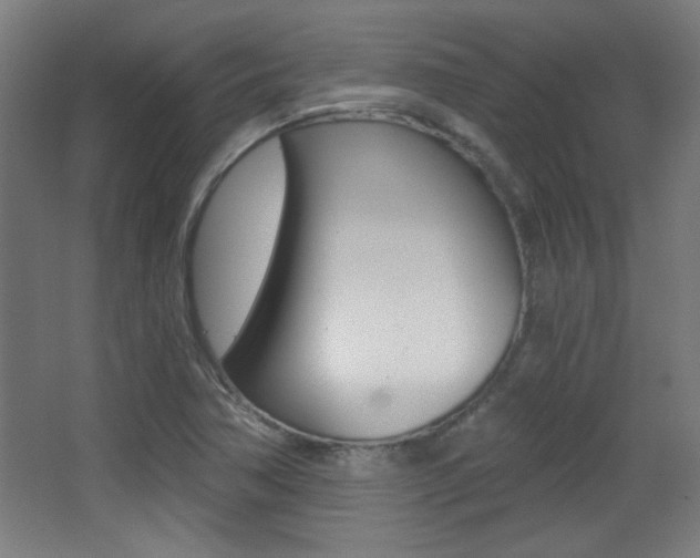 X0000068301362200604211000