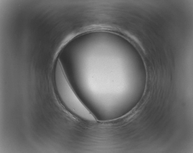 X0000068301365200604211000