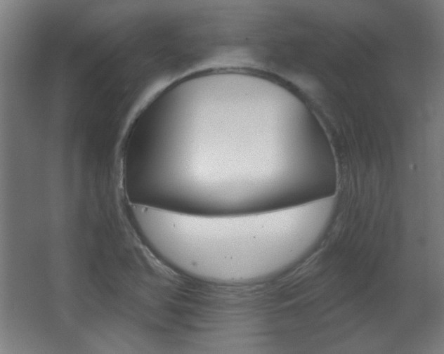 X0000068301366200604211000