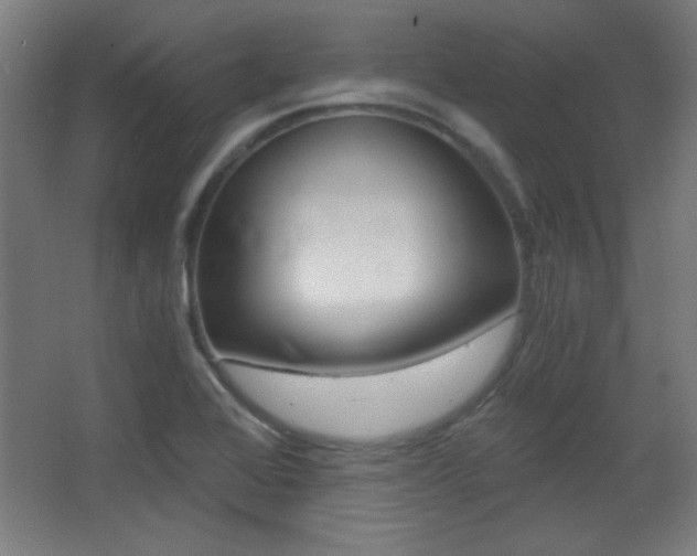 X0000068301368200604211000