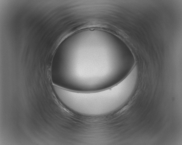 X0000068301369200604211000