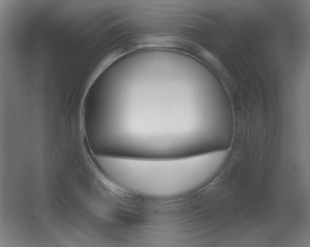 X0000068301370200604211000