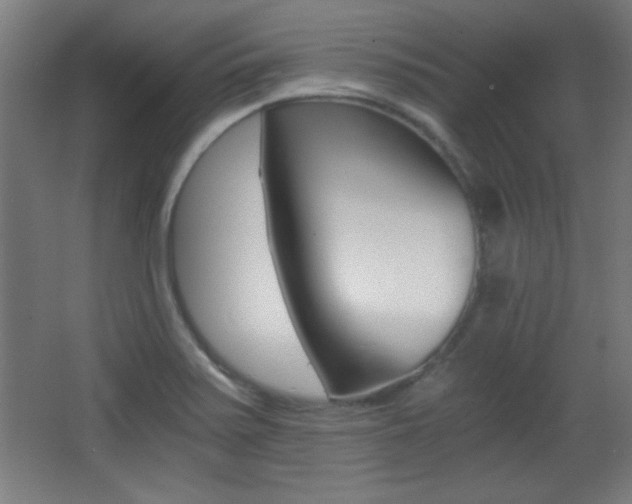 X0000068301371200604211000