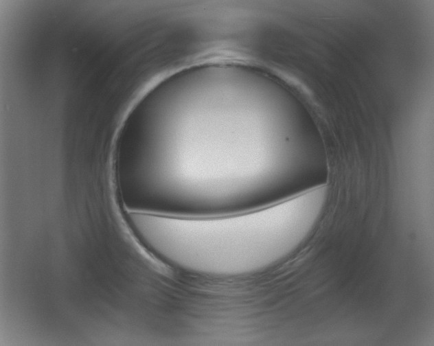 X0000068301375200604211000
