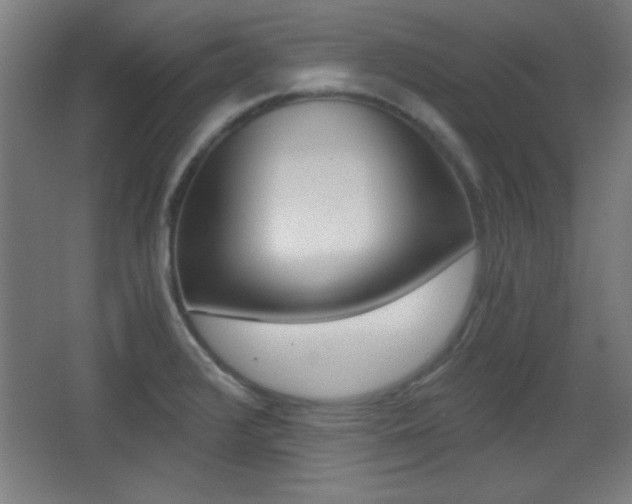 X0000068301376200604210959