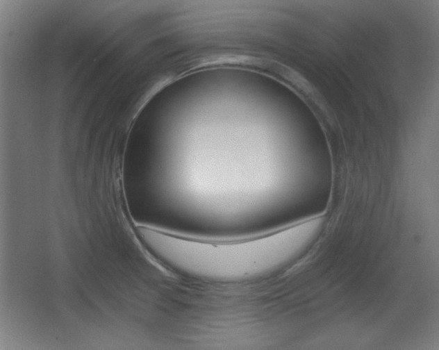 X0000068301377200604210959