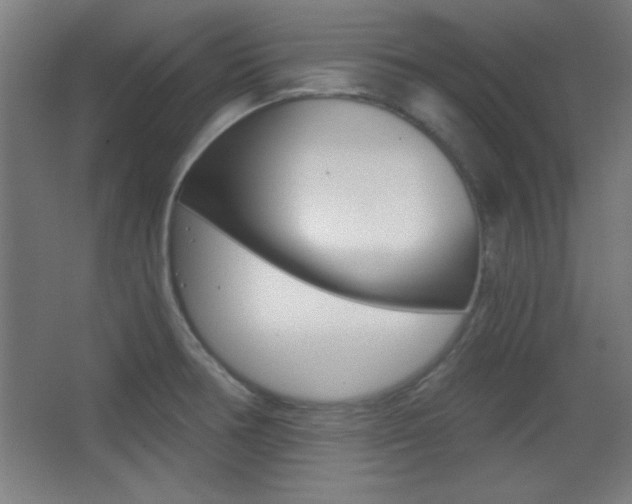 X0000068301378200604210959
