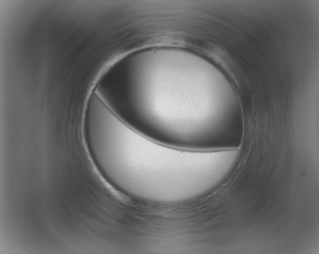 X0000068301379200604210959